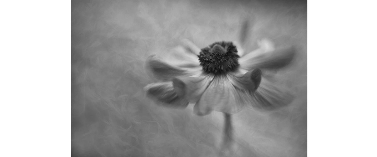 image taken by Kathleen Clemons